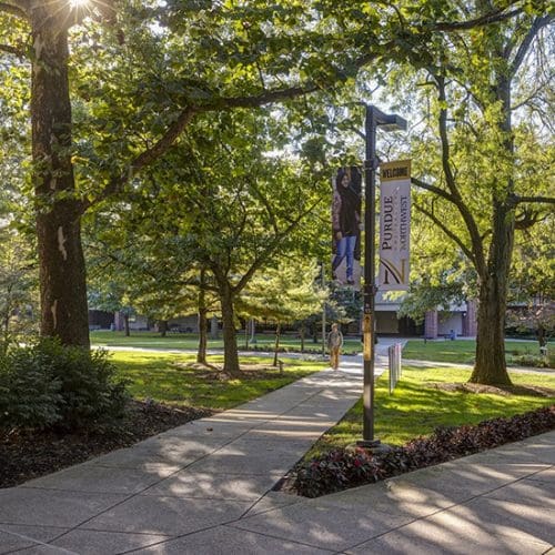 A leafy lane on PNW's Hammond Campus.