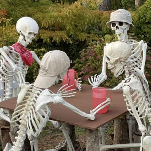 Fake skeletons drinking at Gabis Arboretum.