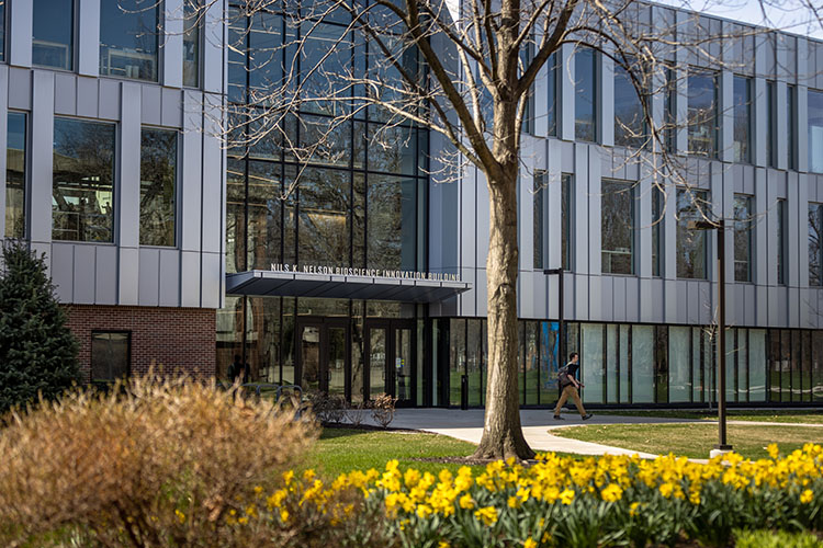 The Nils K. Nelson Bioscience Innovation building on the PNW Hammond Campus. A student is walking outside the building and daffodils bloom in the foreground.