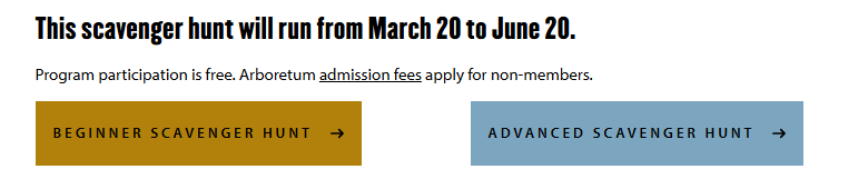 Gold and Blue Button screenshot - CMS Guide