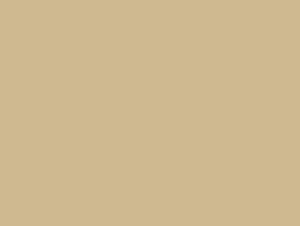 Color swatch of PNW "Mane Gold," #CFB991