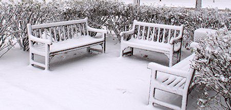 Snow on benches