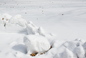 Snow on rocks