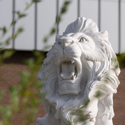 A lion statue outdoors at Purdue University Northwest