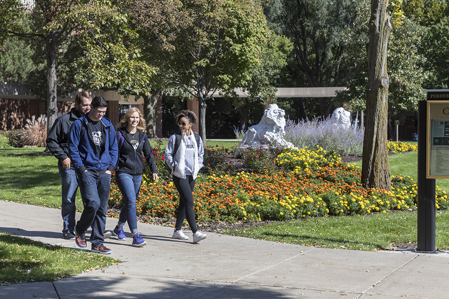 Students walk across campus.