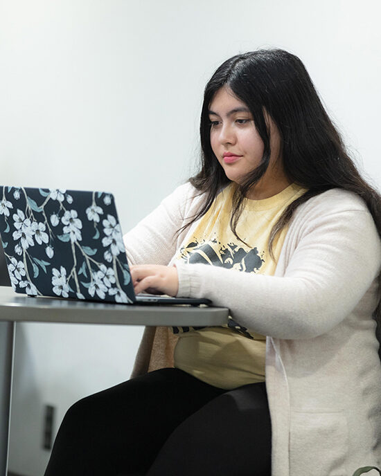 Student sitting at a desk working on a laptop