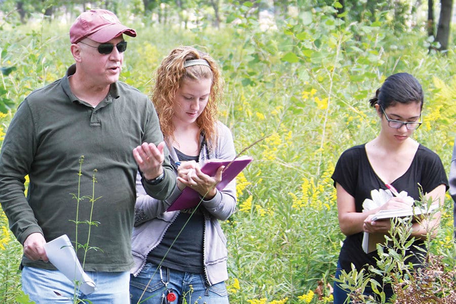 Professor Creighton researching with students