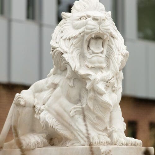 Lion Statue