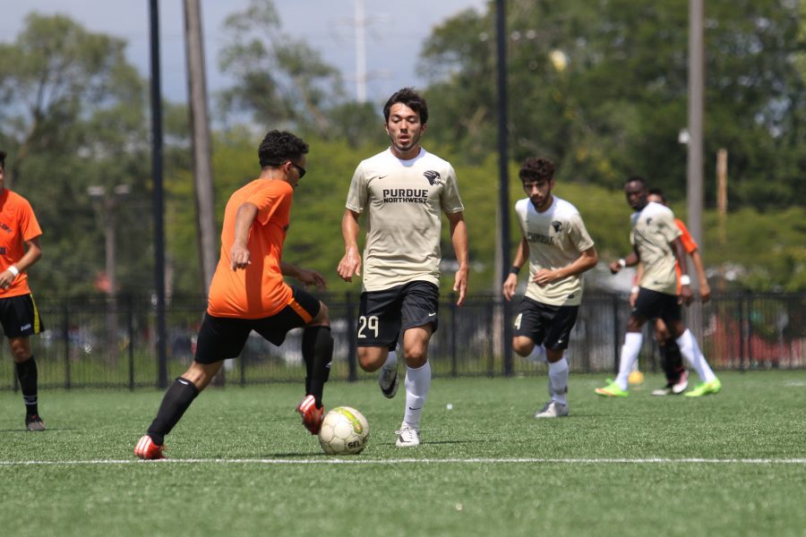 Game action shot of soccer