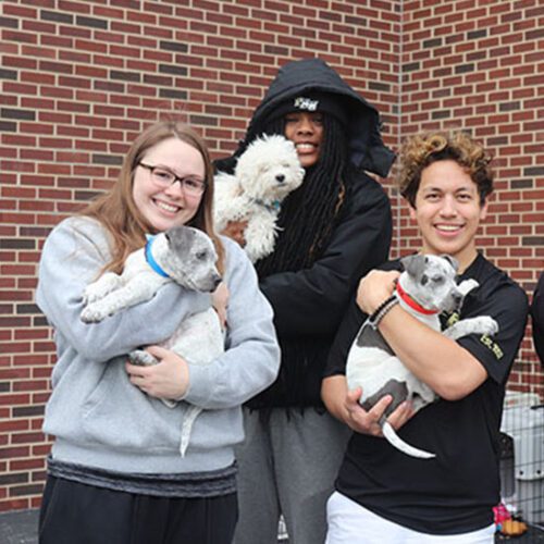 PNW students pose while holding small dogs.