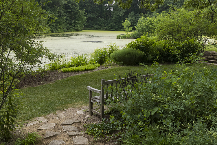 A bench faces a body of water at Gabis Arboretum