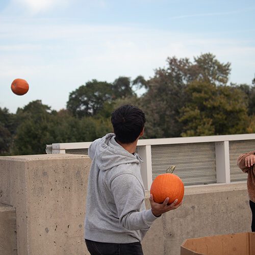pumpkin toss photo.