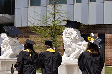 Purdue University Northwest graduates walk past a lion statue wearing a graduation cap.