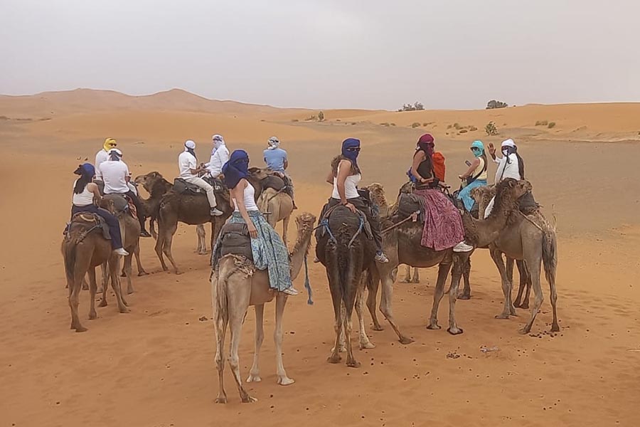 PNW students riding on camels in Morocco for the Study Away Summer program.