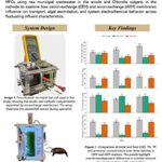 Decorative image of a research poster
