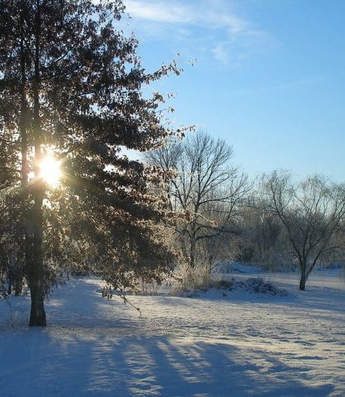 Gabis Taltree Winter Shot