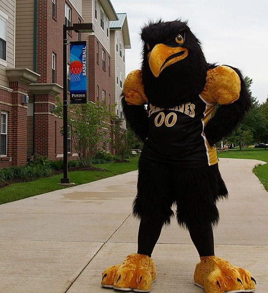 Purdue University Calumet's Peregrine mascot stands outside Peregrine Hall.