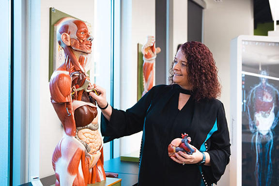 Julia Rogers holds a heart from a human anatomical model.