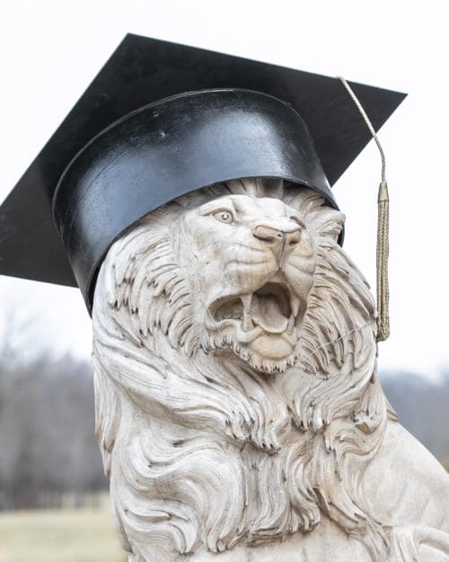 commencement lion in grad cap