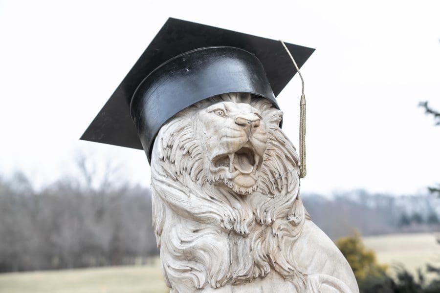 commencement lion in grad cap