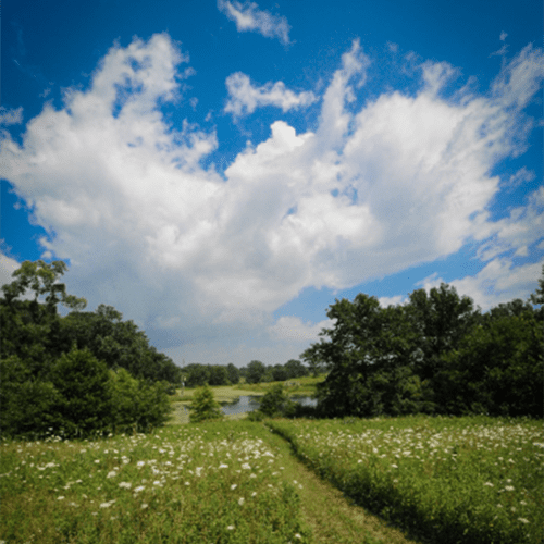 A hiking trail at Gabis Arboretum