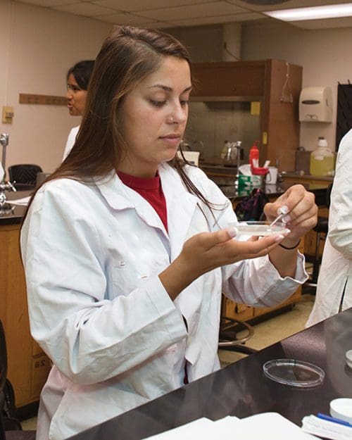 A PNW student works in the lab