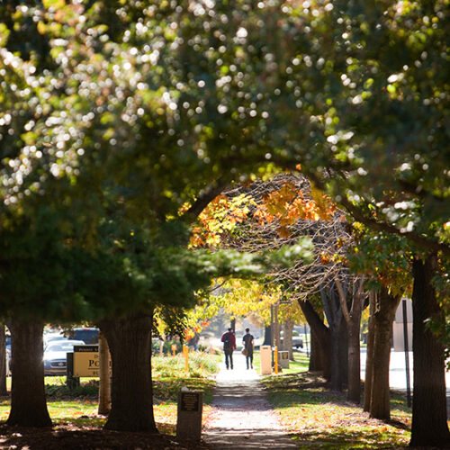 Students walk down a leafy pathway at PNW's Hammond campus