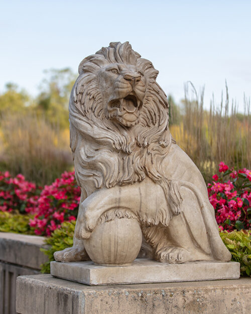 A lion statue on campus
