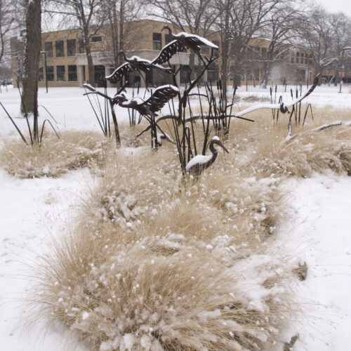 A campus sculpture featuring herons set amidst snow and prairie grasses
