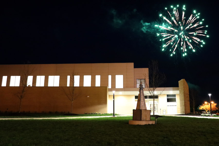 Fireworks in the sky are pictured.