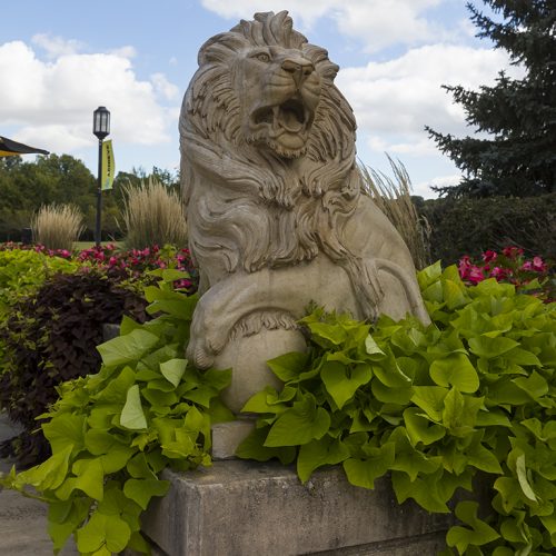Lion Statue Out door