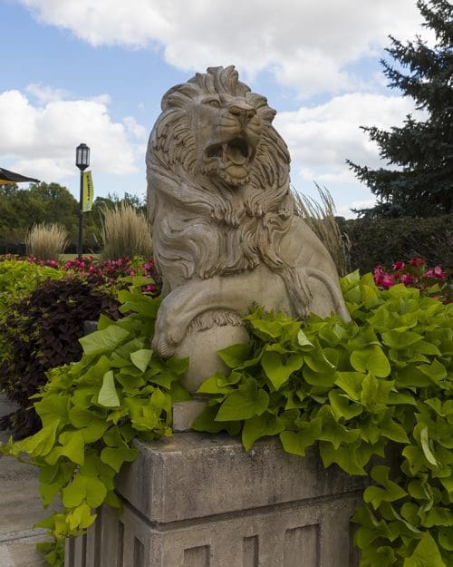 Lion Statue Out door