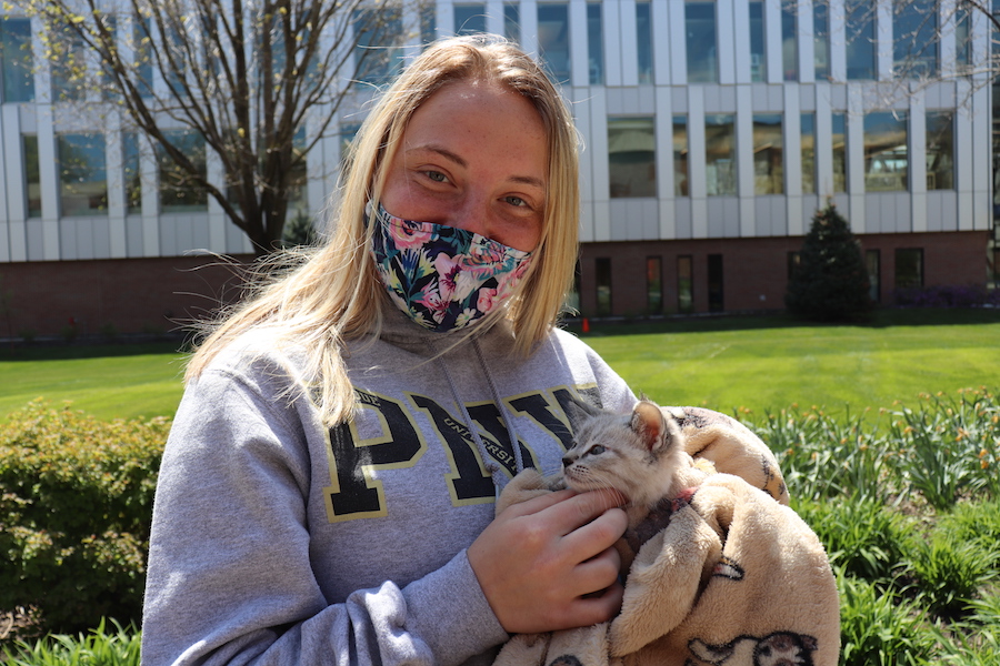 Dogs are pictured with a student.