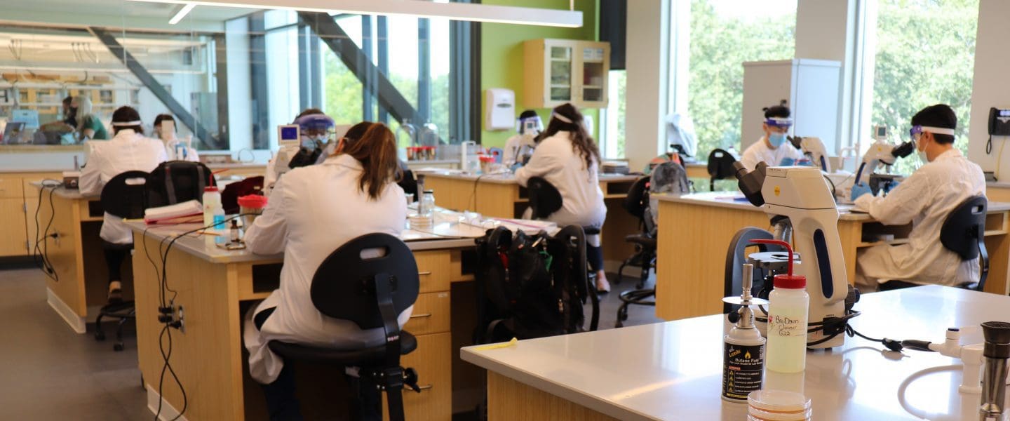 Students work in a lab in PNW's Nils K. Nelson Bioscience Innovation Building