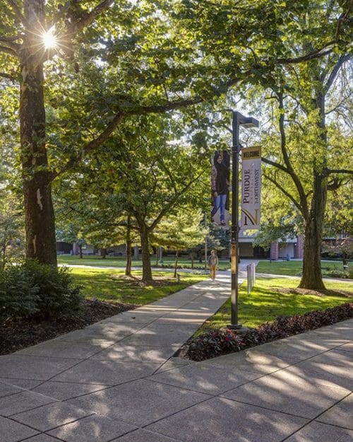 A leafy lane on PNW's Hammond Campus.