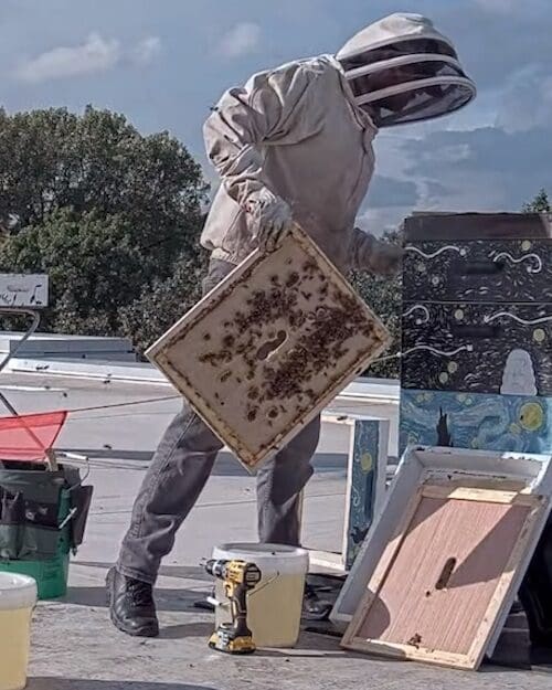 Honey Harvesting at PNW is pictured.