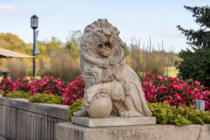Lion statue with flowers blooming behind it