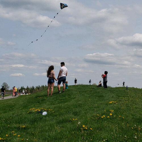 Two people stand on a hill and hold hands. There is a kite flying in the sky and many other people standing in the background.