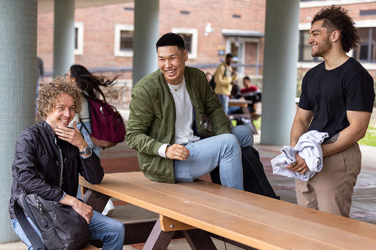 Three students are talking. One is sitting on top of a picnic table, one is sitting on the bench of the picnic table, and one is standing.
