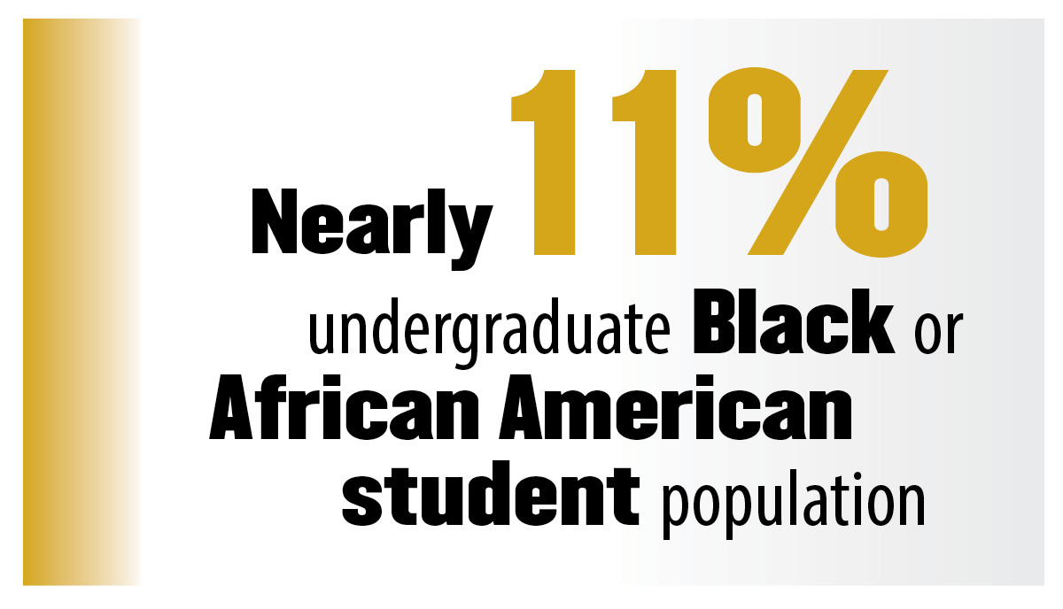 Nearly 11% undergraduate Black or African American student population