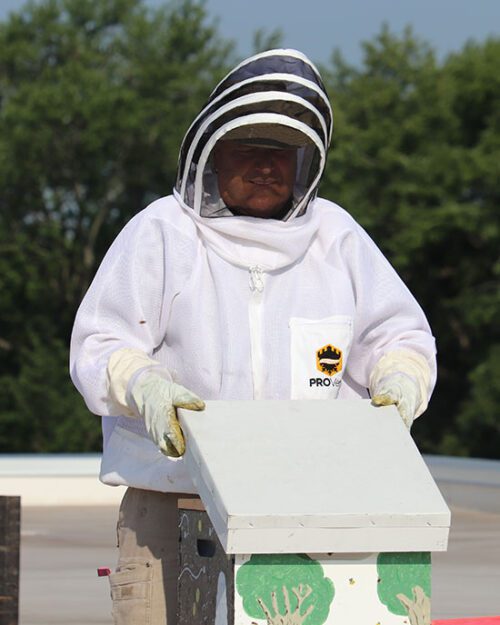 John Bachmann stands in a beekeeper suit. He is lifting the lid off of a beehive.