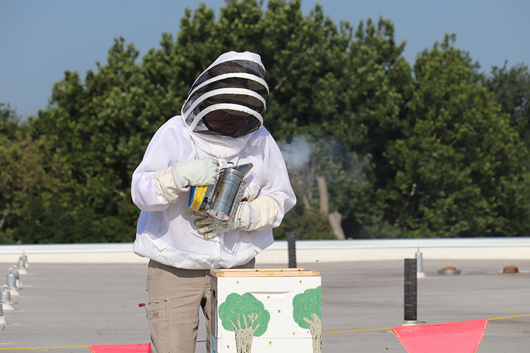 John Bachmann stands above a bee hive in a beekeepers suit. He is spraying above the hive.