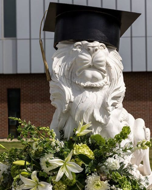 A lion statue with a mortarboard