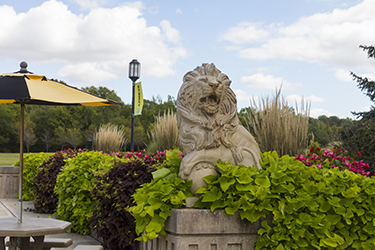 A lion statue with greenery at the bottom. There is an umbrella to the left of the statue