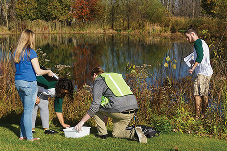 Biologists collect samples by a pond