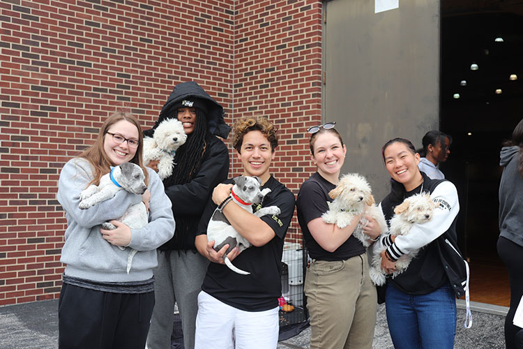 Five students pose while holding small dogs.