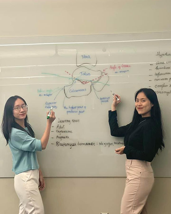 Two students stand in front of a dry erase board that has medical models drawn on it. They are both smiling at the camera and pointing to items on the board.