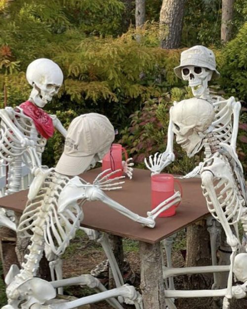 Fake skeletons drinking at Gabis Arboretum.