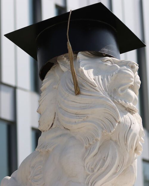 PNW Lion Statue with Mortarboard