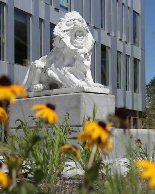 A PNW Lion statue on the Hammond campus. There are yellow flowers along the bottom of the image.